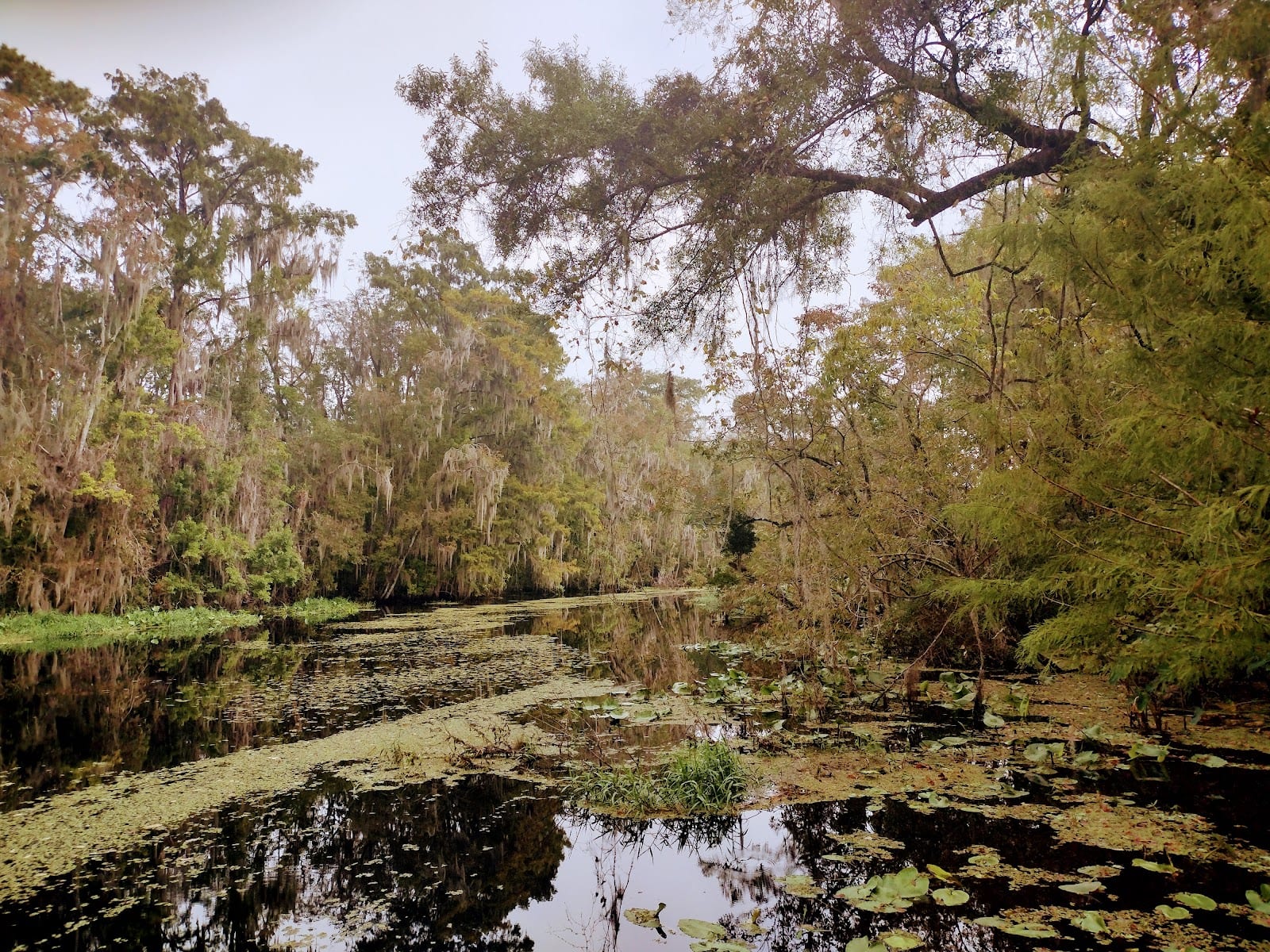 Vera Francis Hall Park