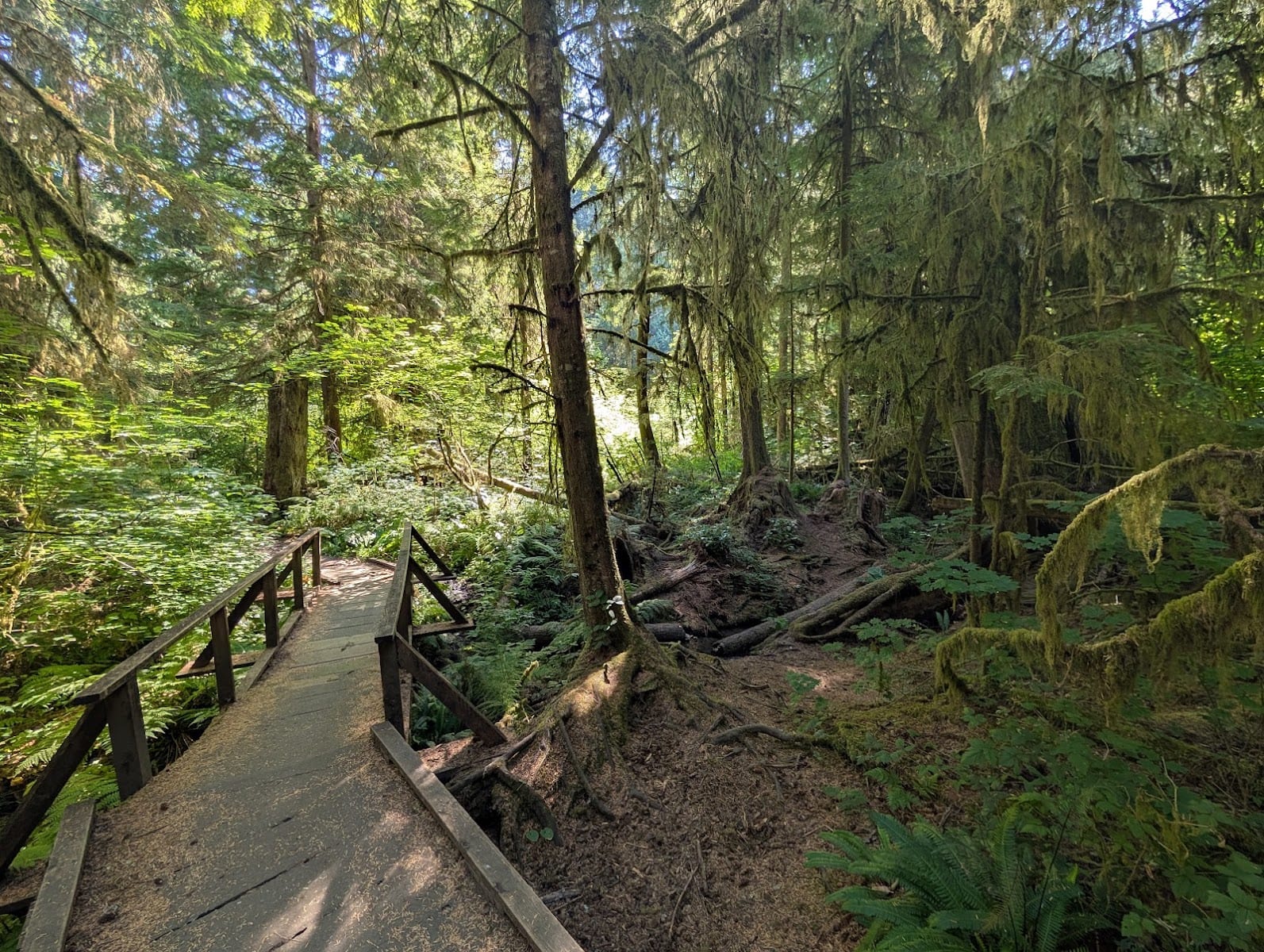 Watershed Park, photo 2