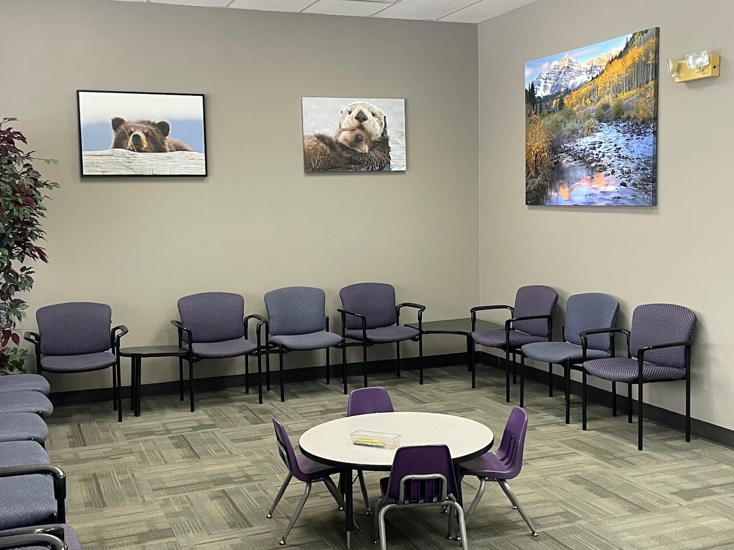 Centennial Pediatrics, photo 4