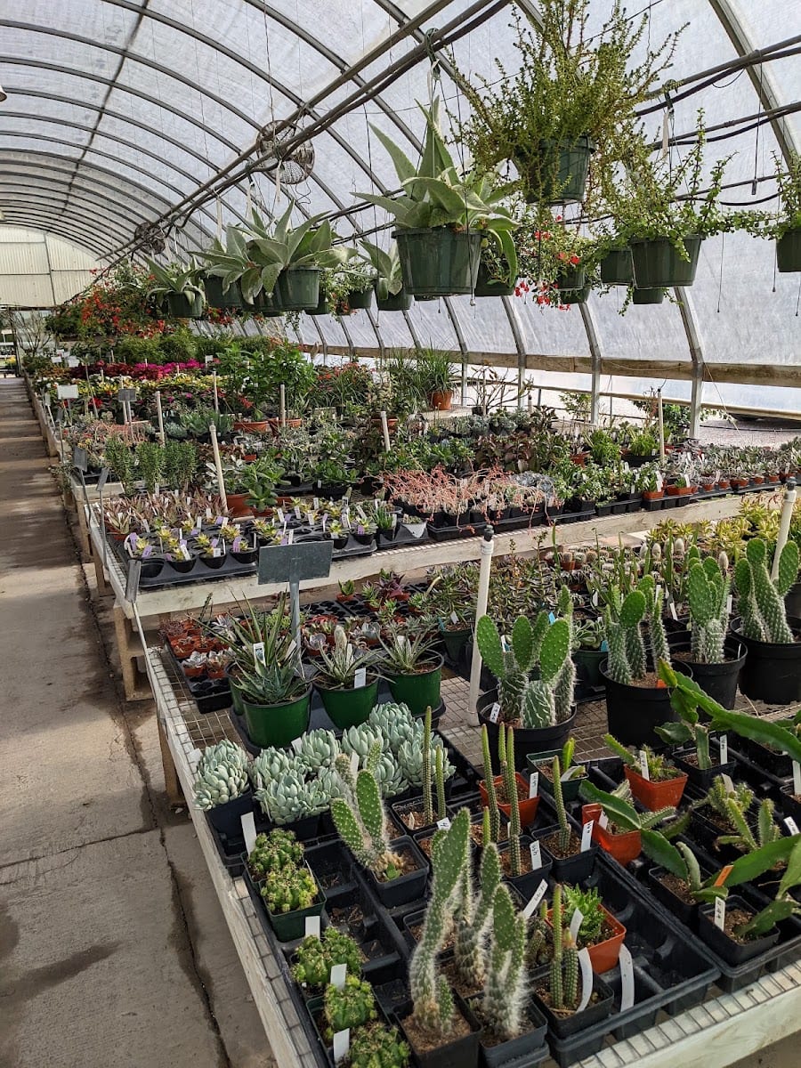 Snooper’s Nursery & Garden Center