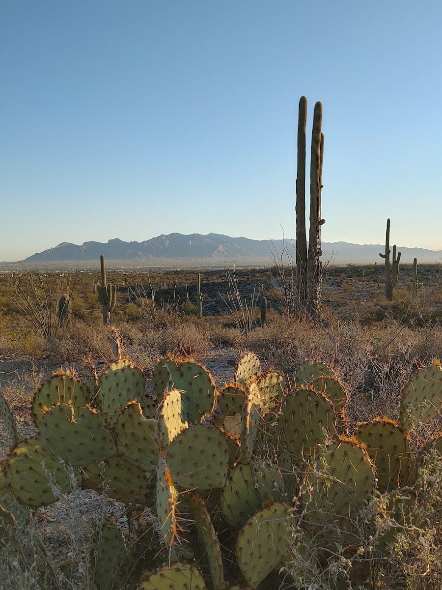 Greasewood Park