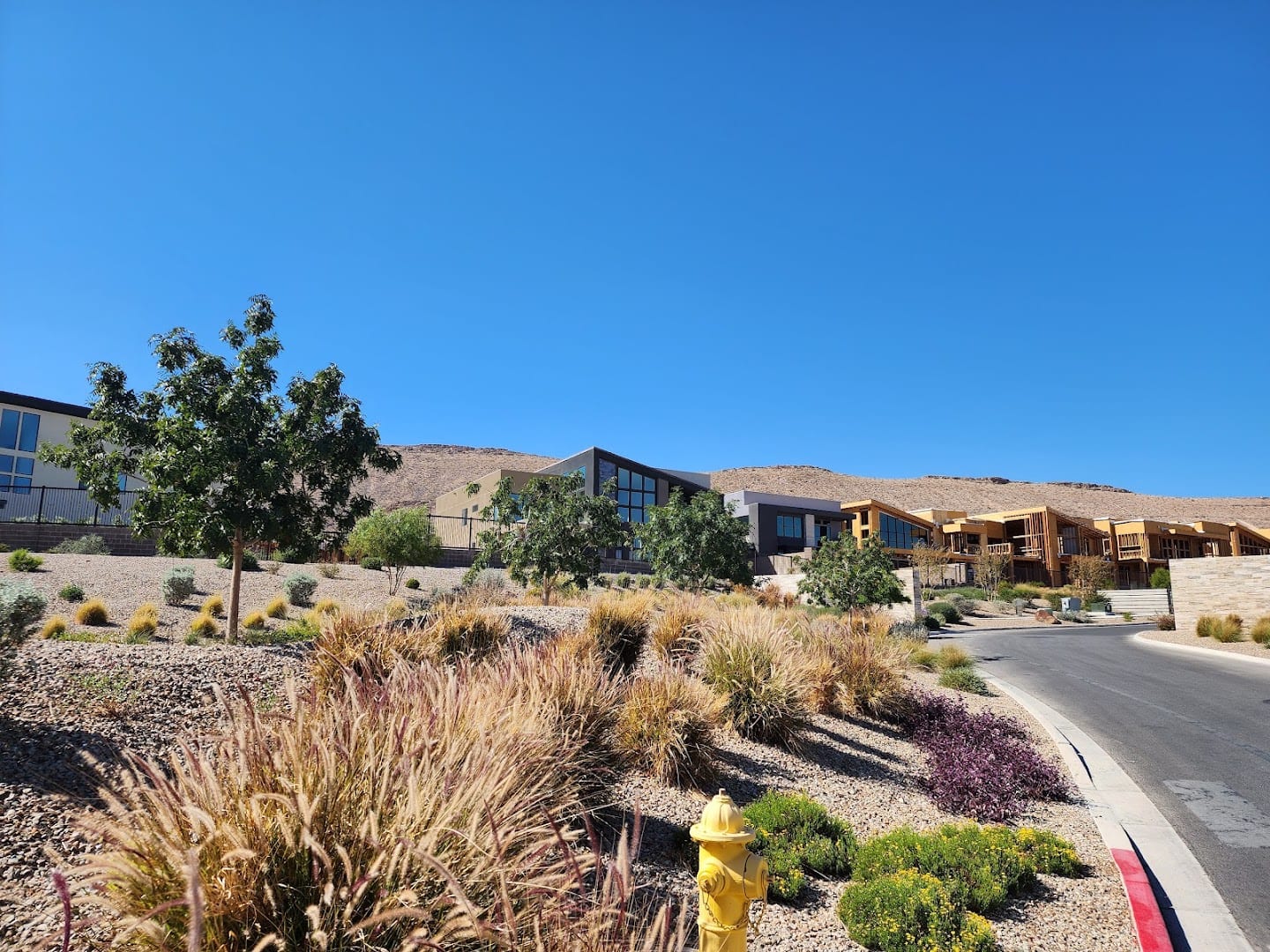 Mesa Ridge - Sky View Collection