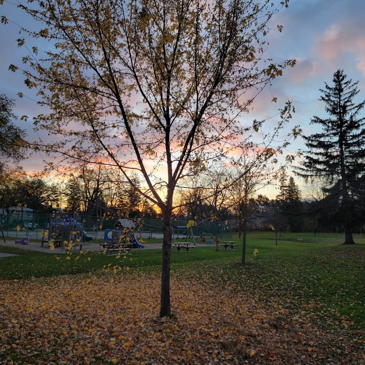 Wedgewood Park - North York, photo 2