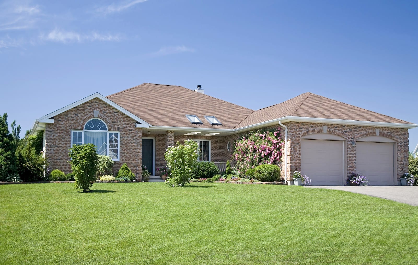 Lubbock General Lawn Care, photo 3