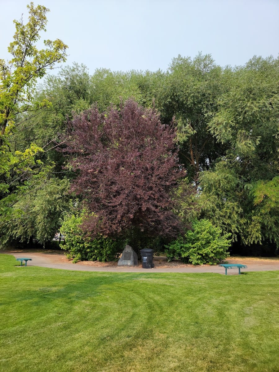 Kilowatt Park