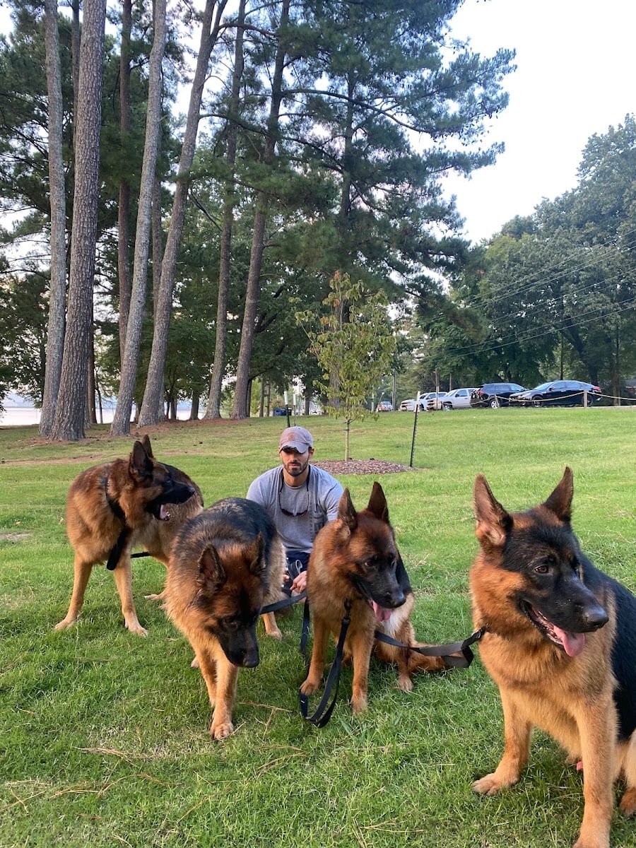 Paradise Pet Resort & Spa, photo 4