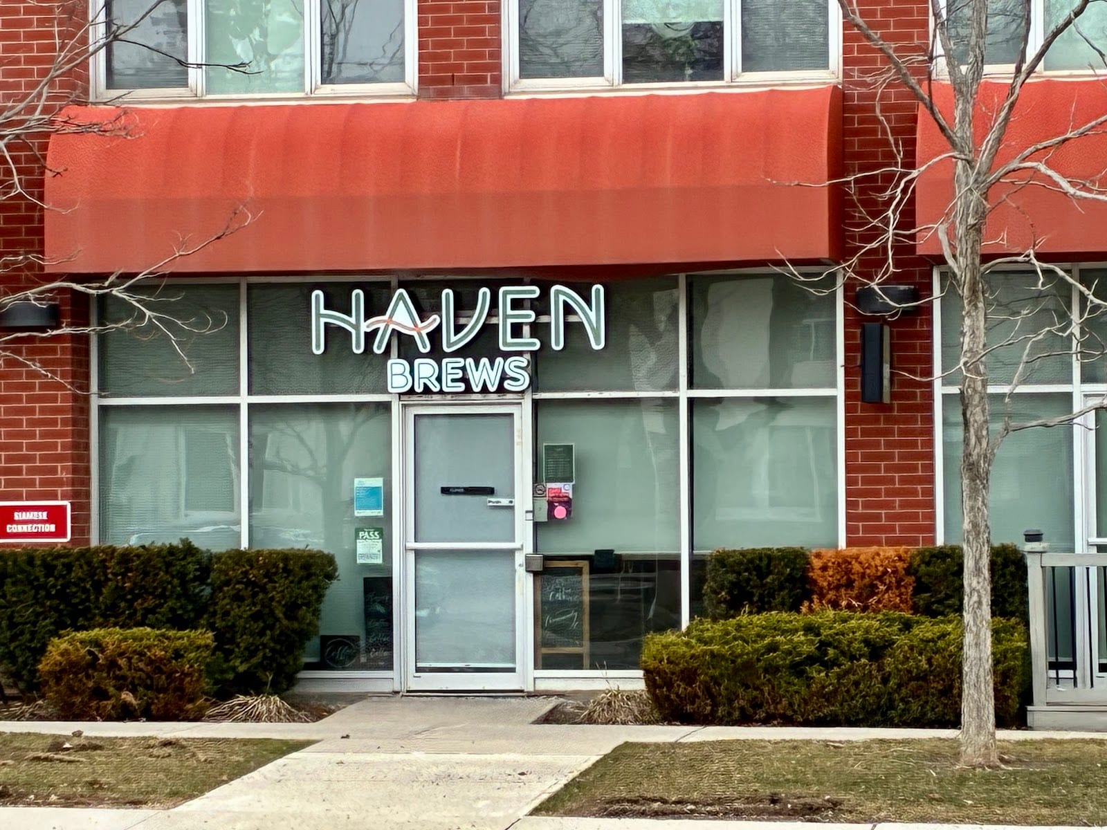 Haven Brews, photo 2