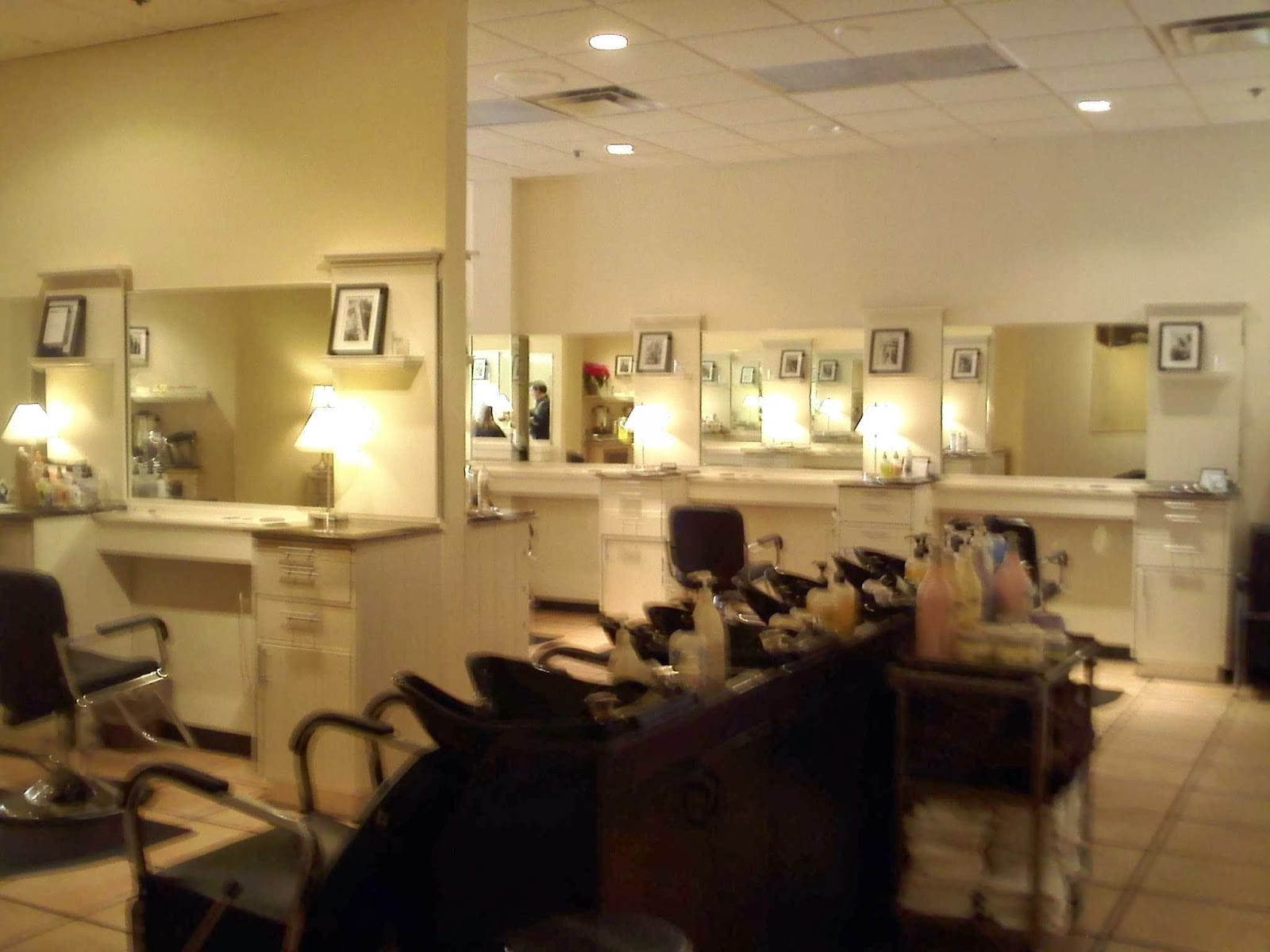Elysian Salon, photo 3