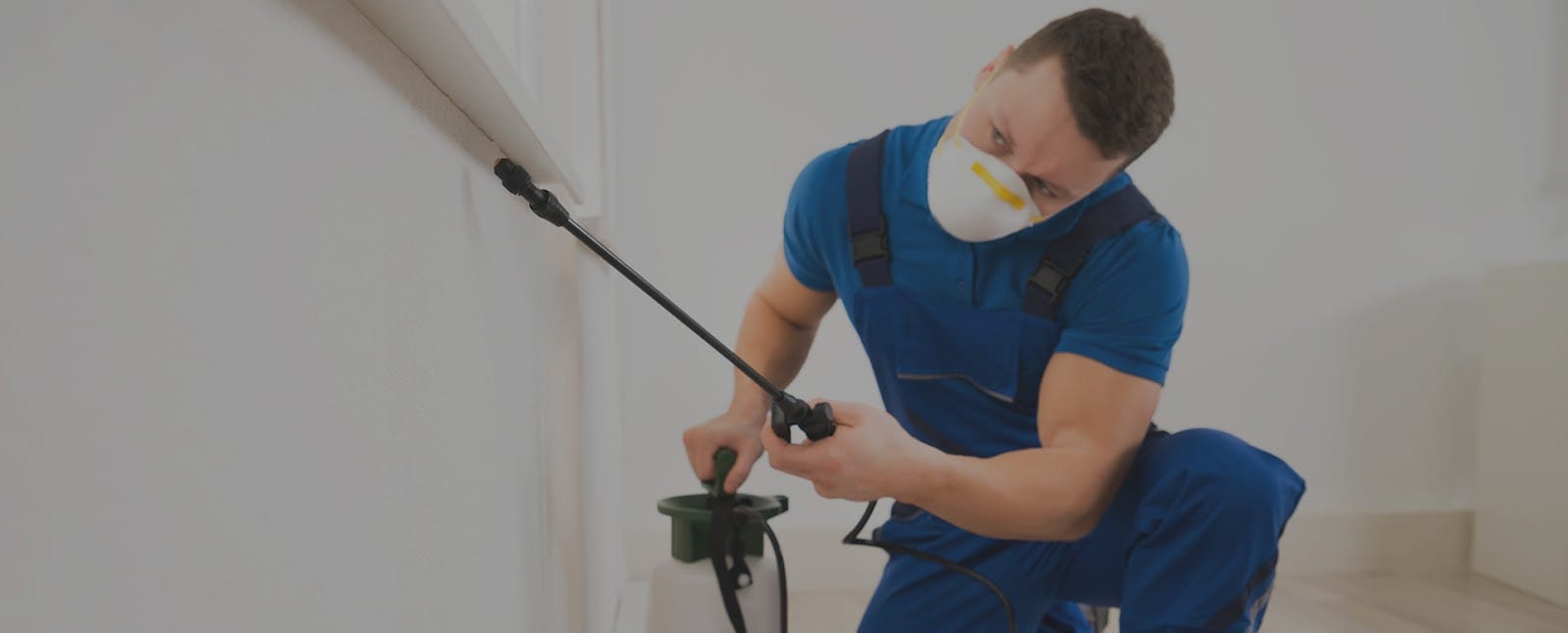 Britex Pest Control