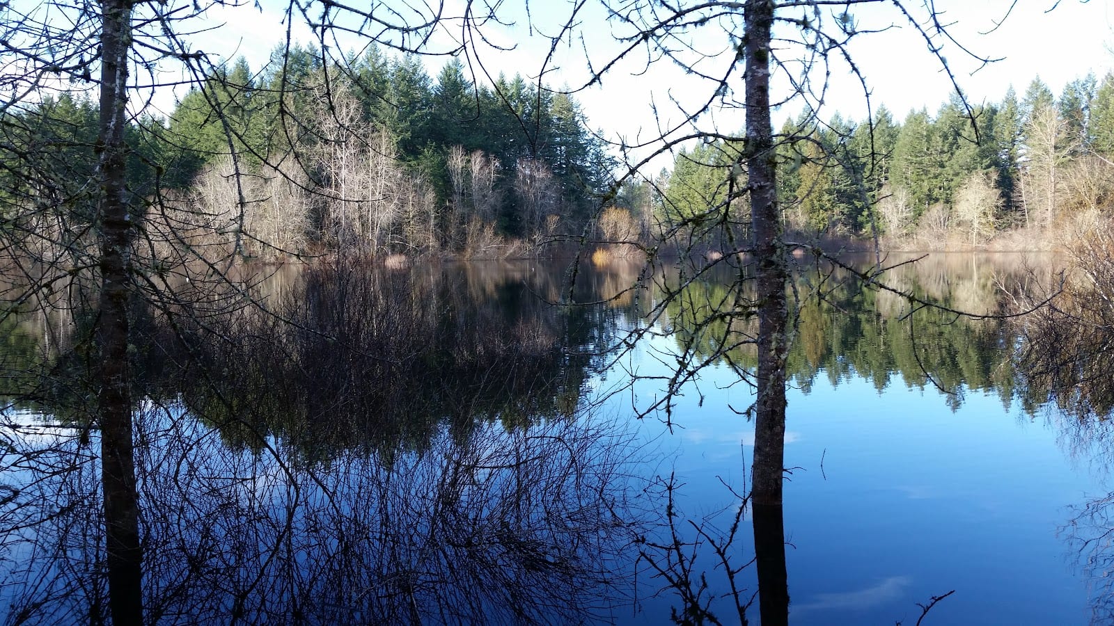 Grass Lake Nature Park