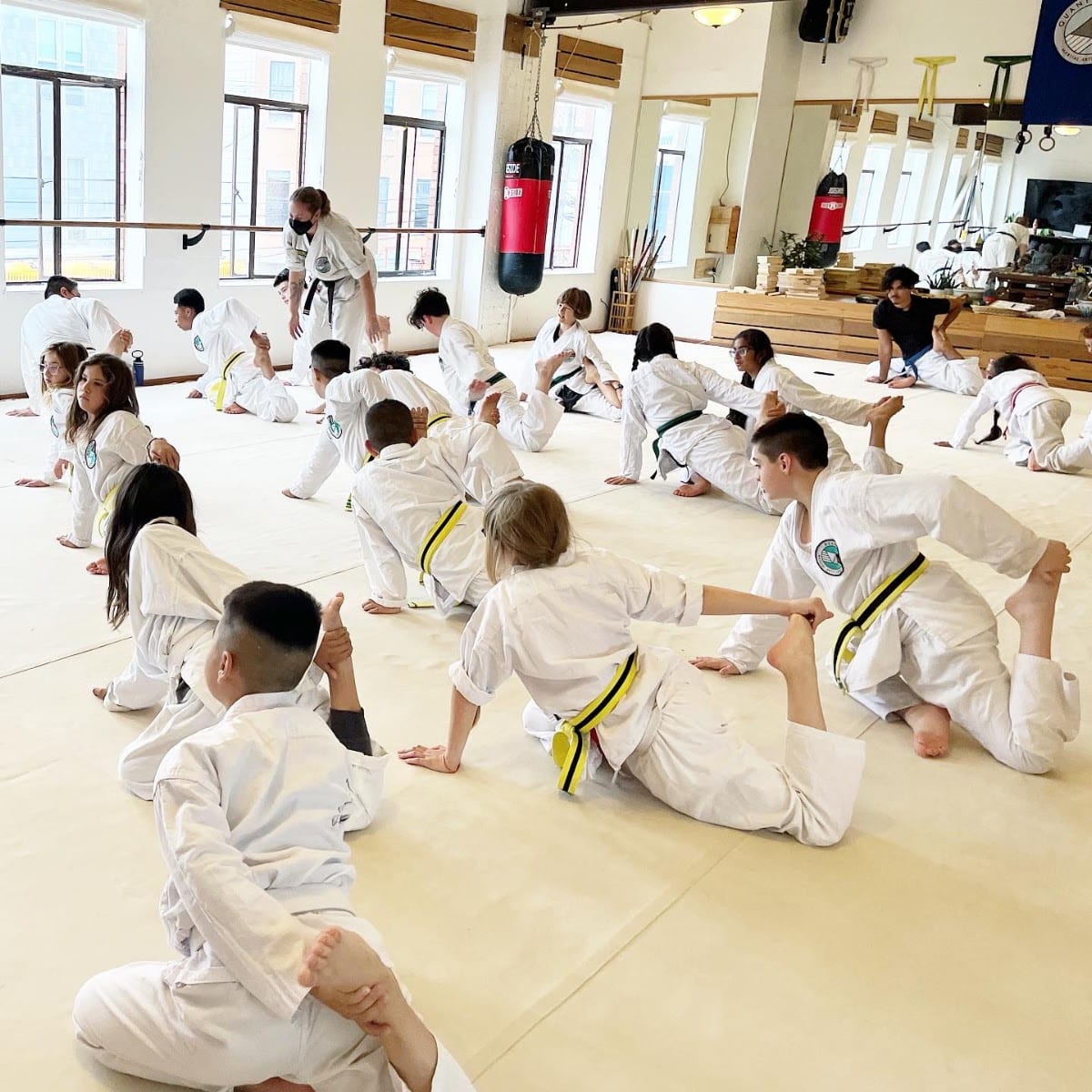 Quantum Martial Arts, photo 2