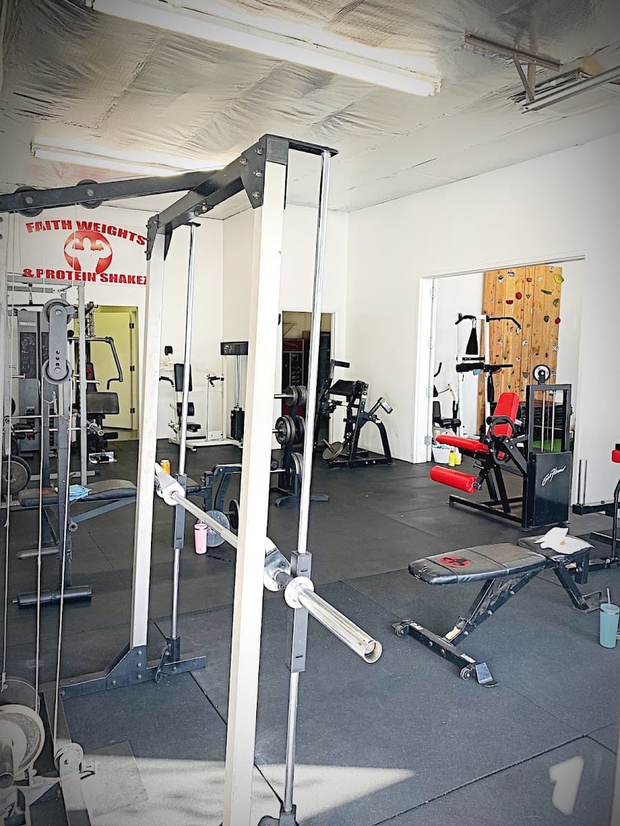 Faith Weights and Protein Shakes, photo 2