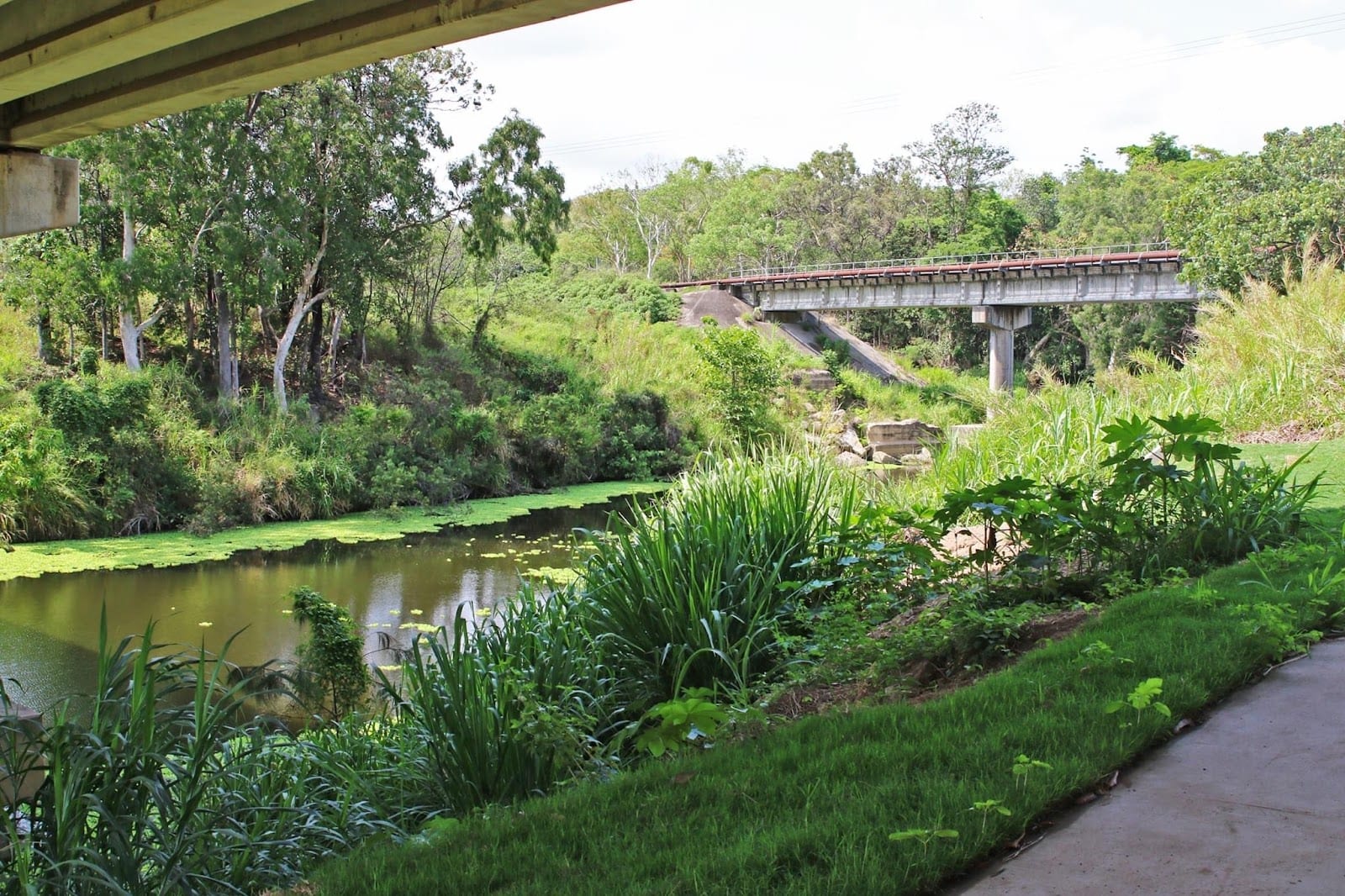 Brewers Road Reserve, photo 3
