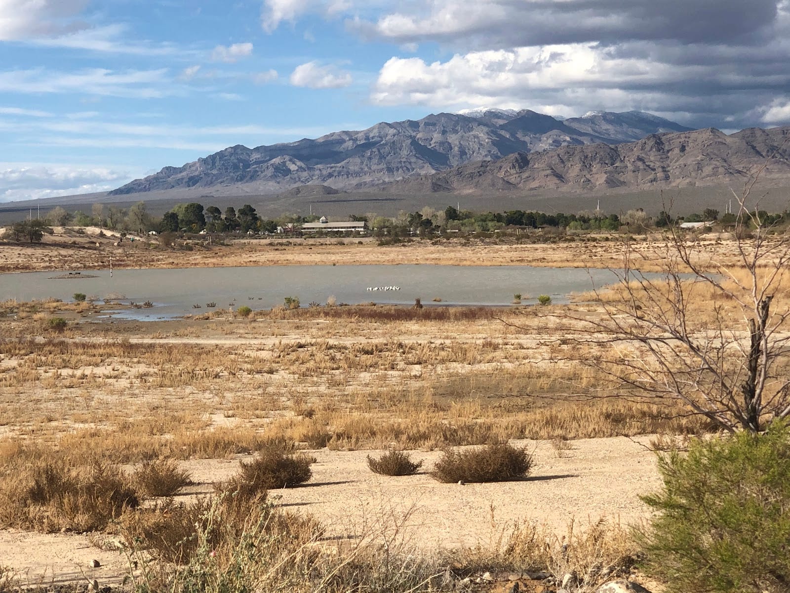 Floyd Lamb Park