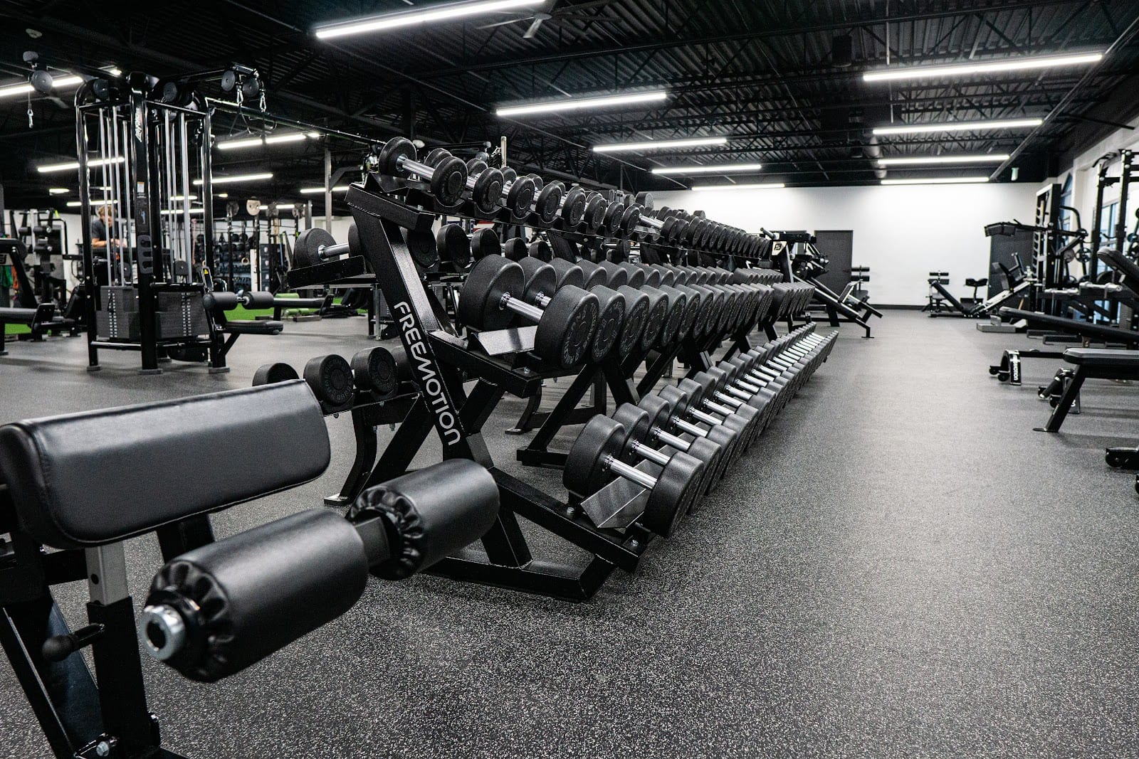 Forge Training & Performance