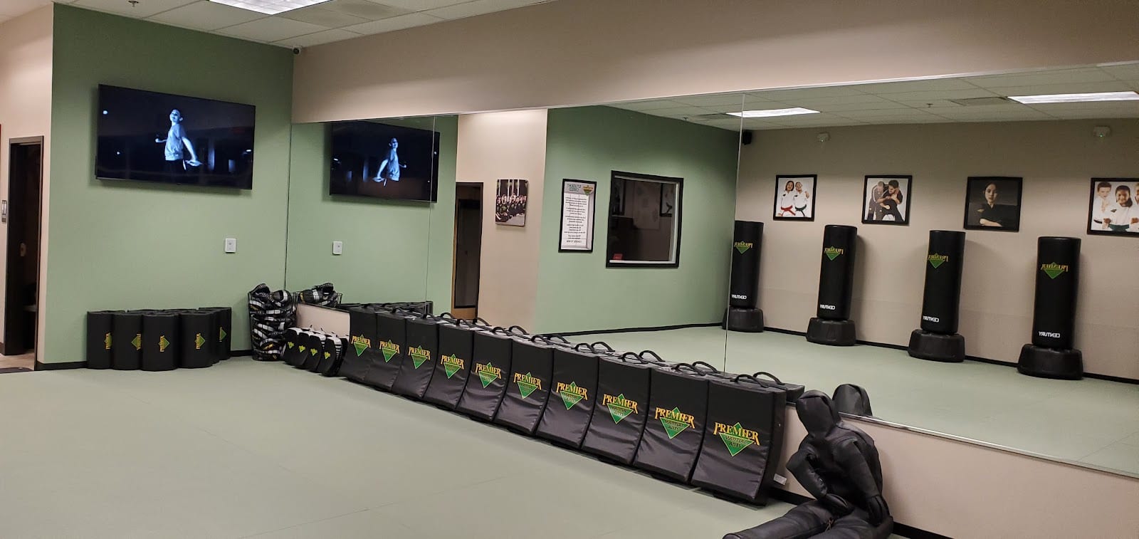 Premier Martial Arts Lewisville/Castle Hills, photo 2