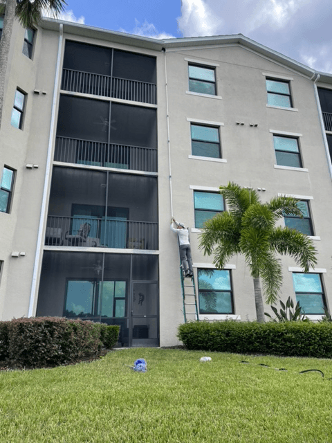 Prodigy Pest Solutions, photo 4