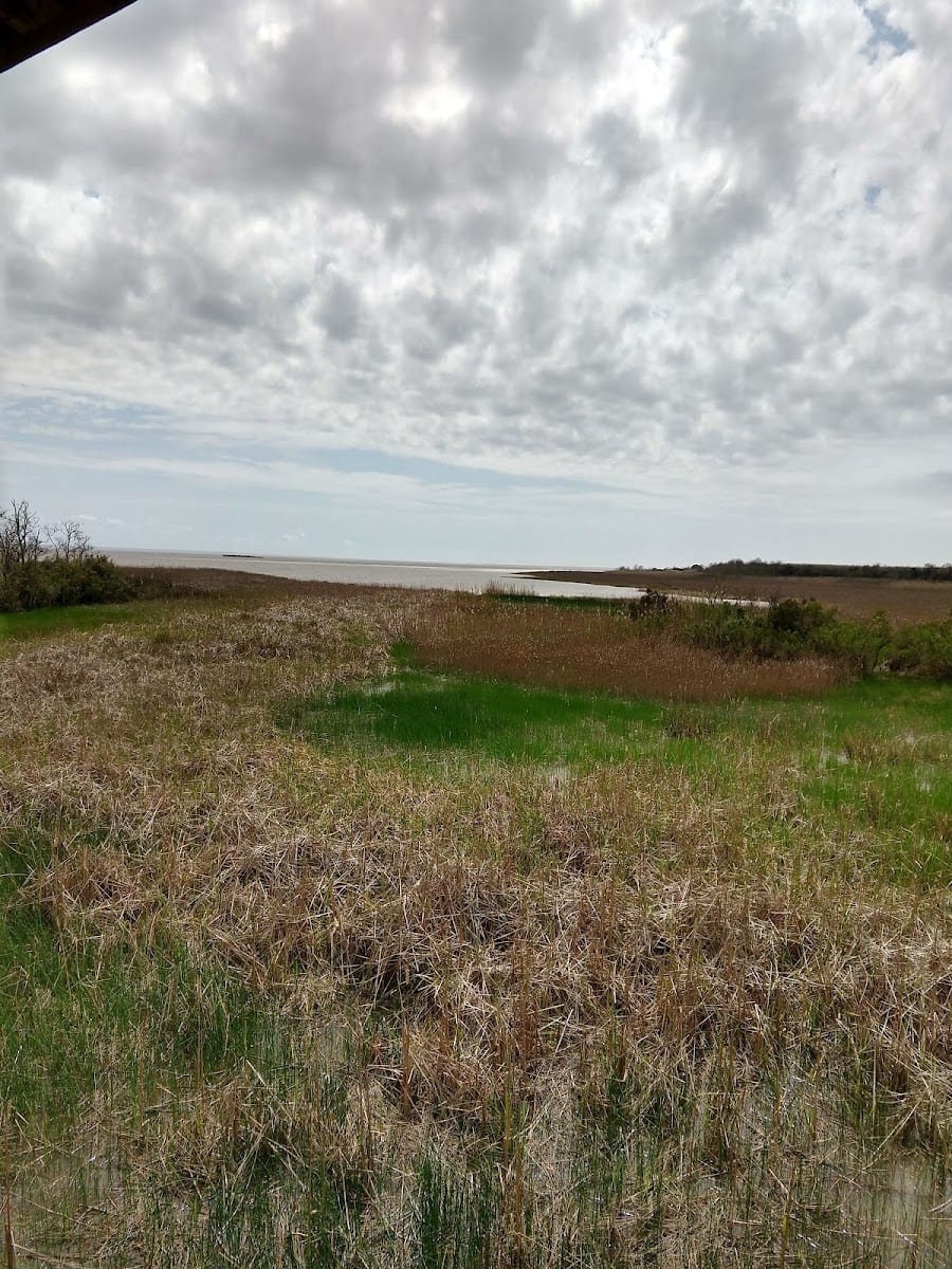 Wildlife Preserve