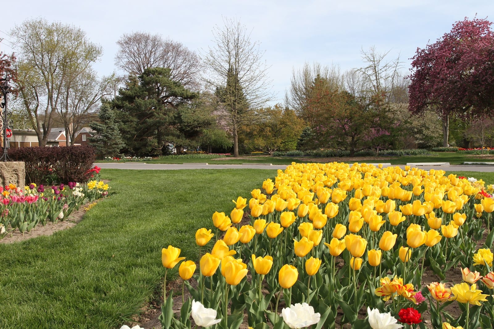 Foster Park, photo 2