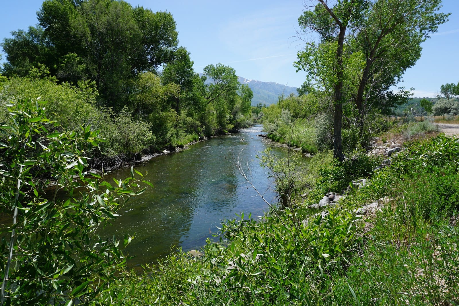 Creekside RV Park, photo 2