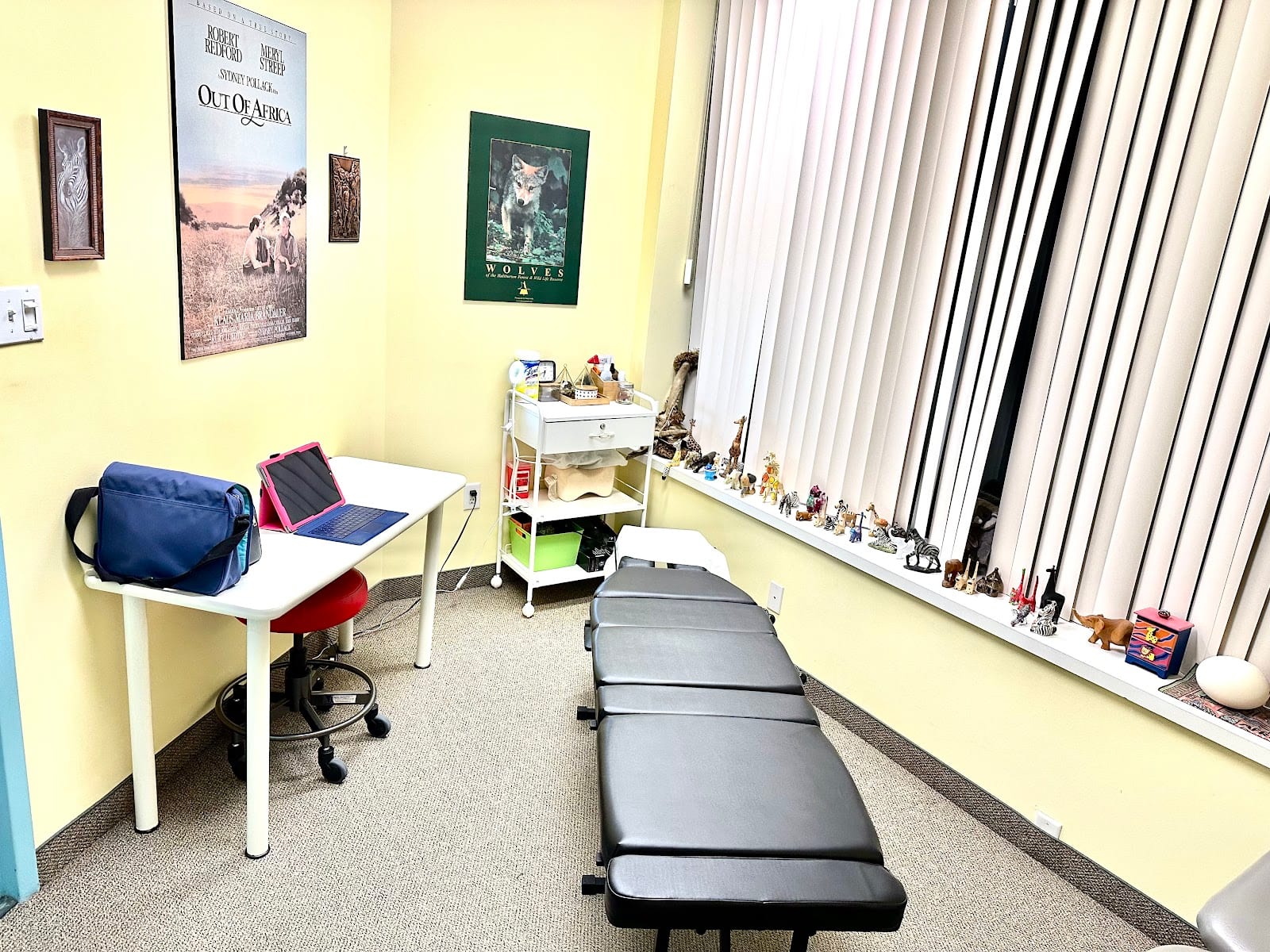 Dr.Romina Chiropractic Health and Wellness Center