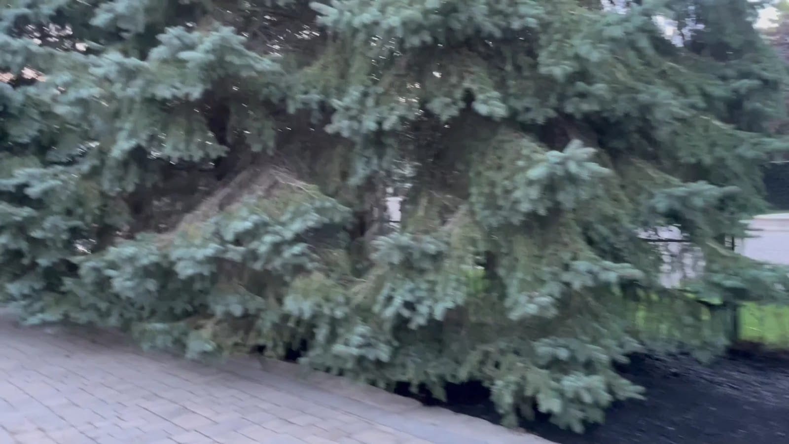 Elias Outdoor Services, photo 3