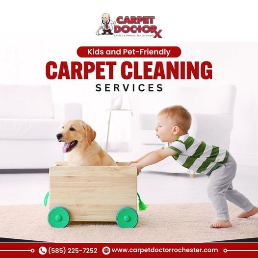 Carpet Doctor Rochester
