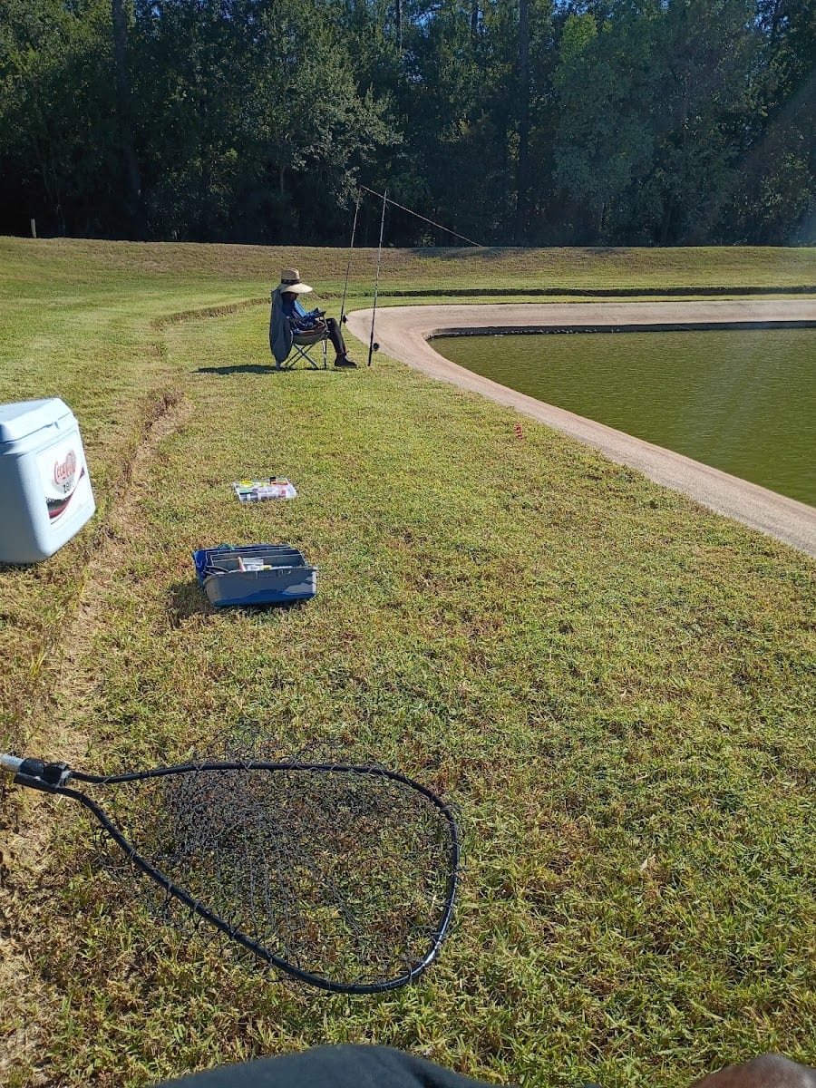 Herman Little Park, photo 2