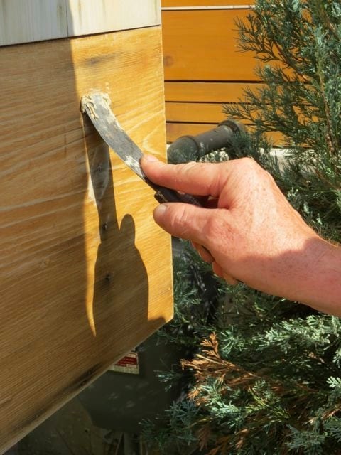 Home Painting Toronto