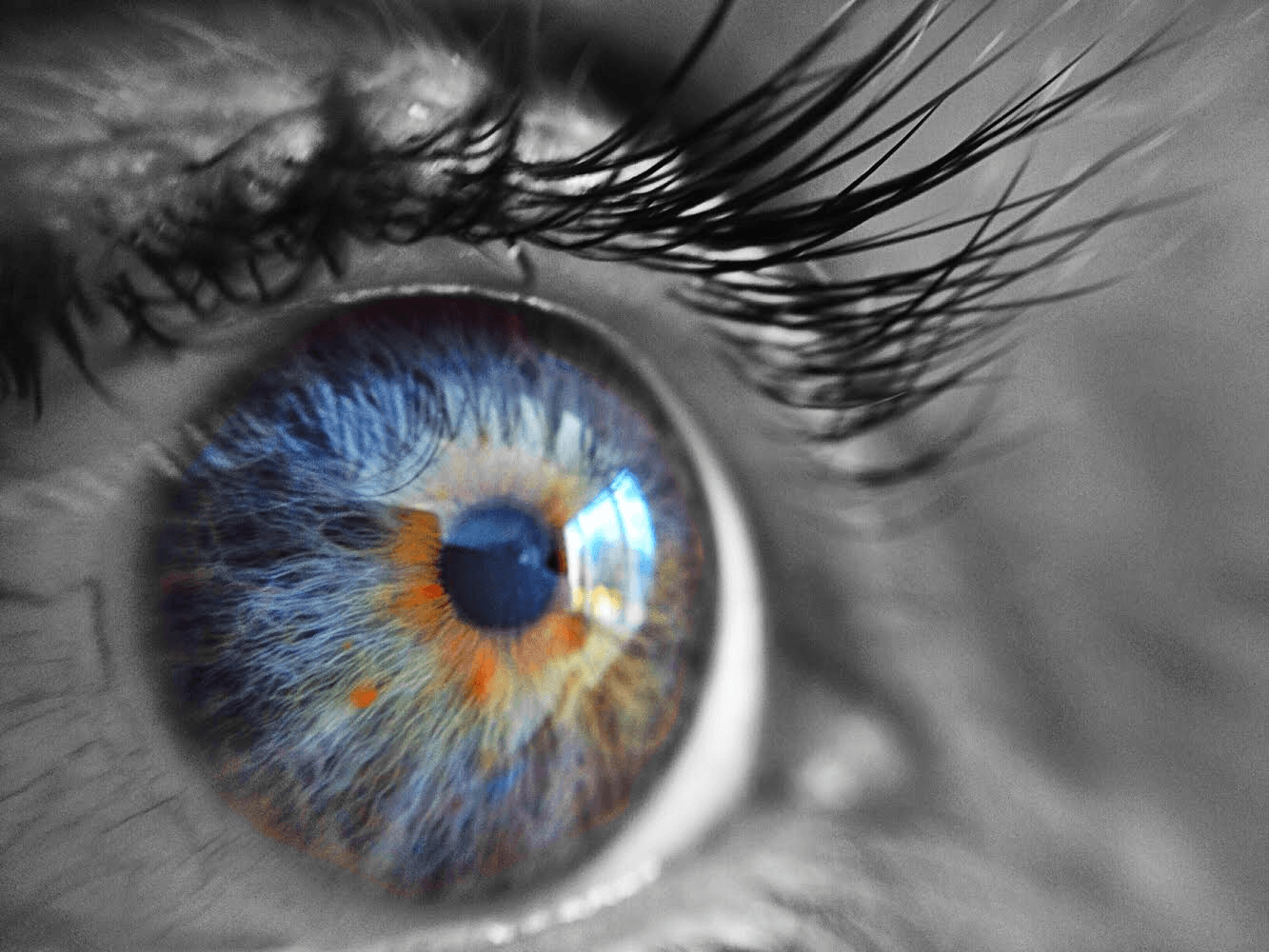 Sherwood Park Optometry - Dr. Dhawan and Associates, photo 4