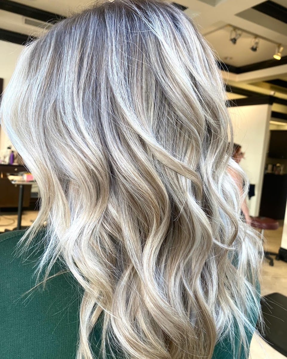 The Mane Experience, photo 3