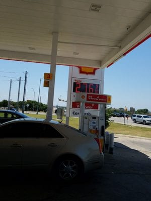 Shell, photo 4