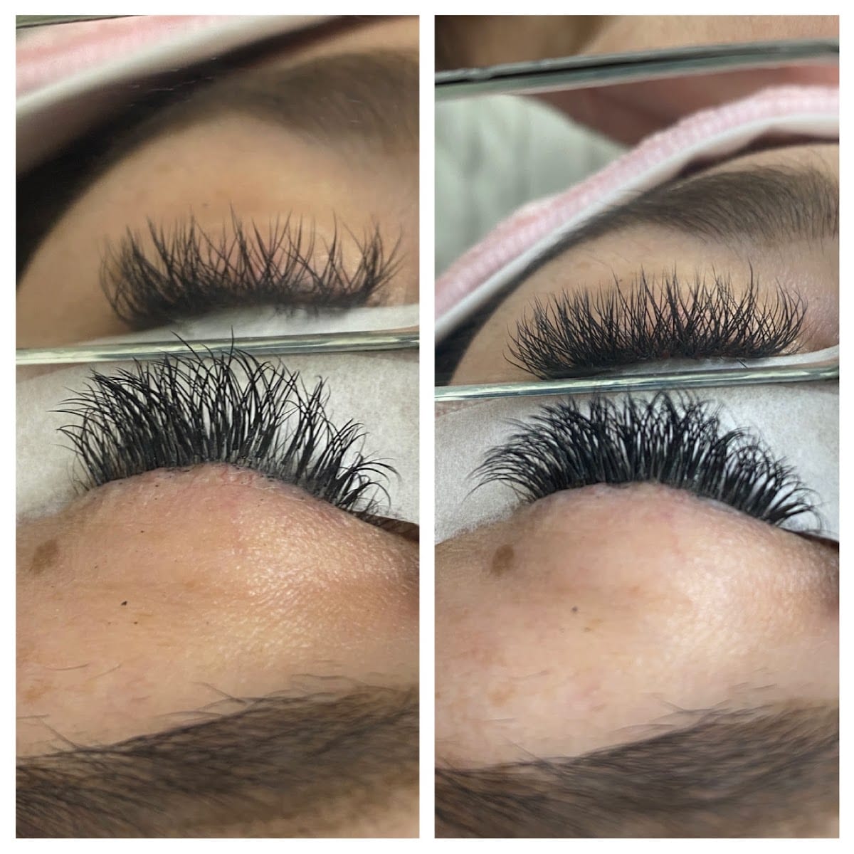 Blink PN Lash-Japanese Lashes