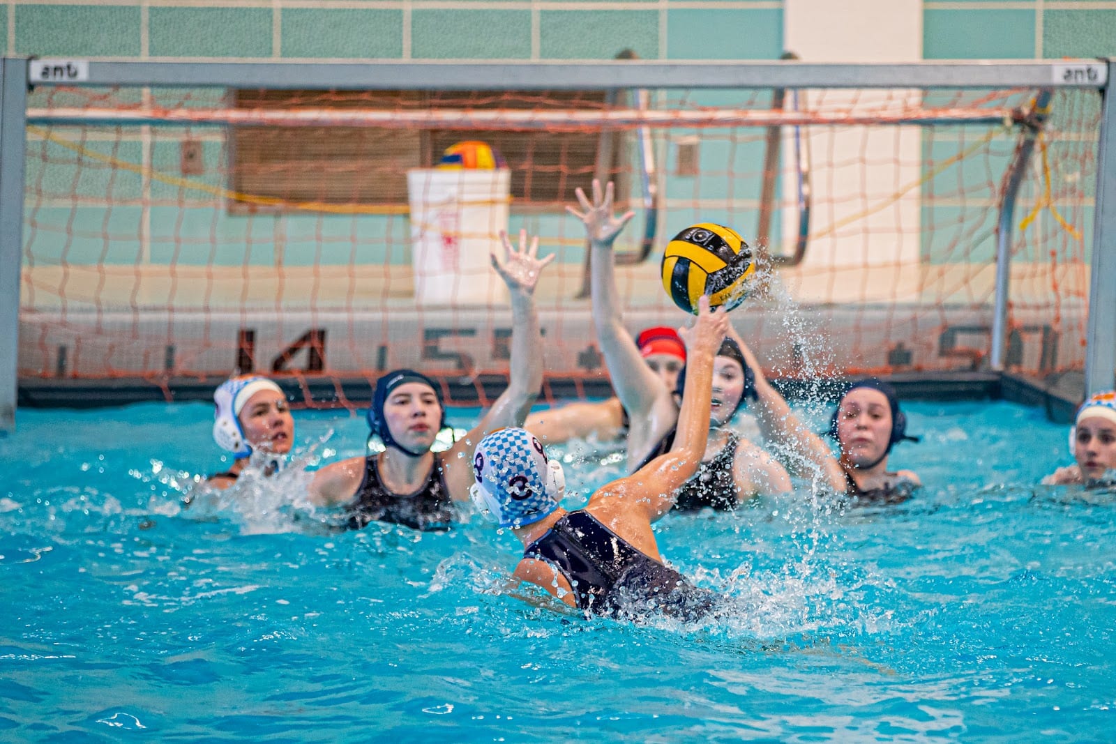 Cache Water Polo, photo 3