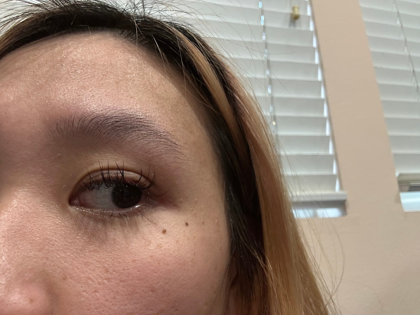 Winky.Co Eyelash Bar, photo 2