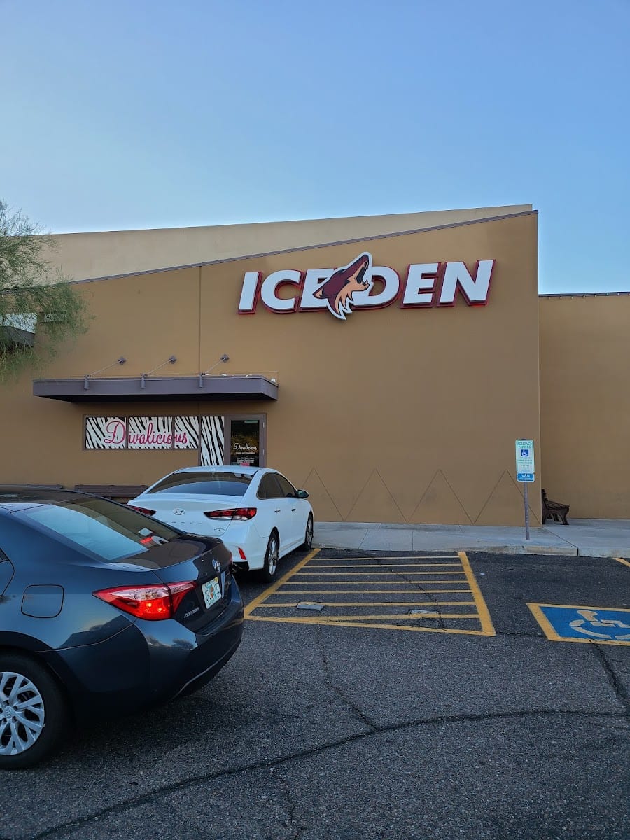 Ice Den Scottsdale, photo 4