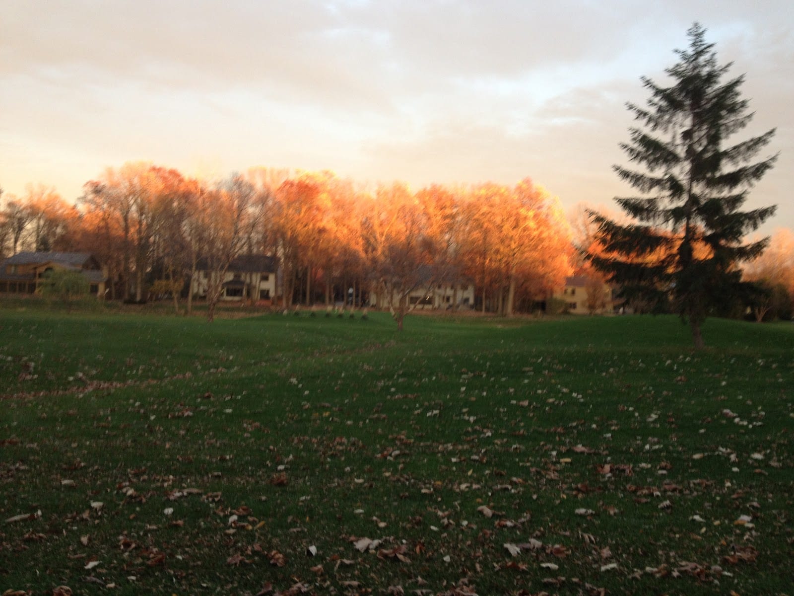 Arlington Park Golf Course, photo 2