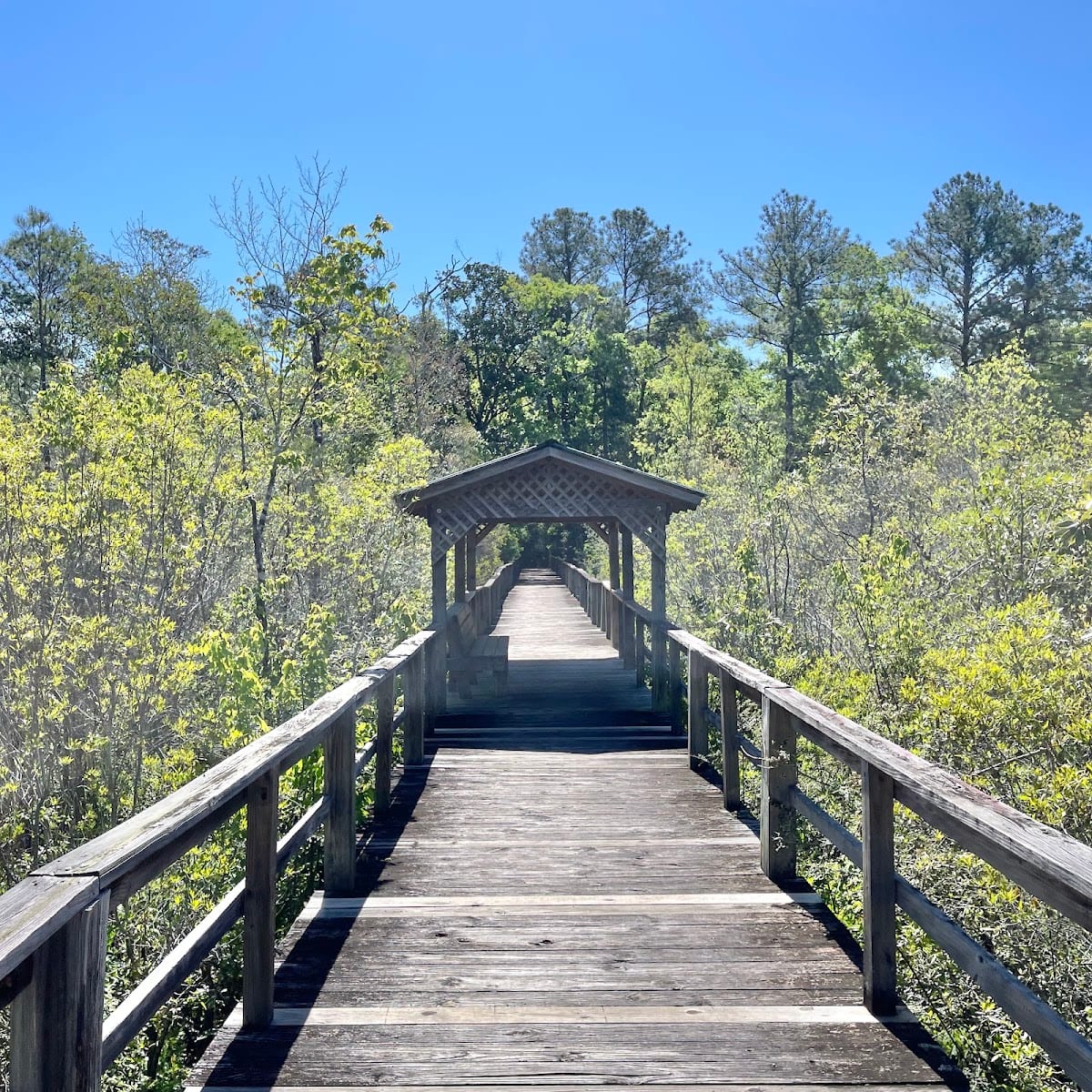 William Brooks Park