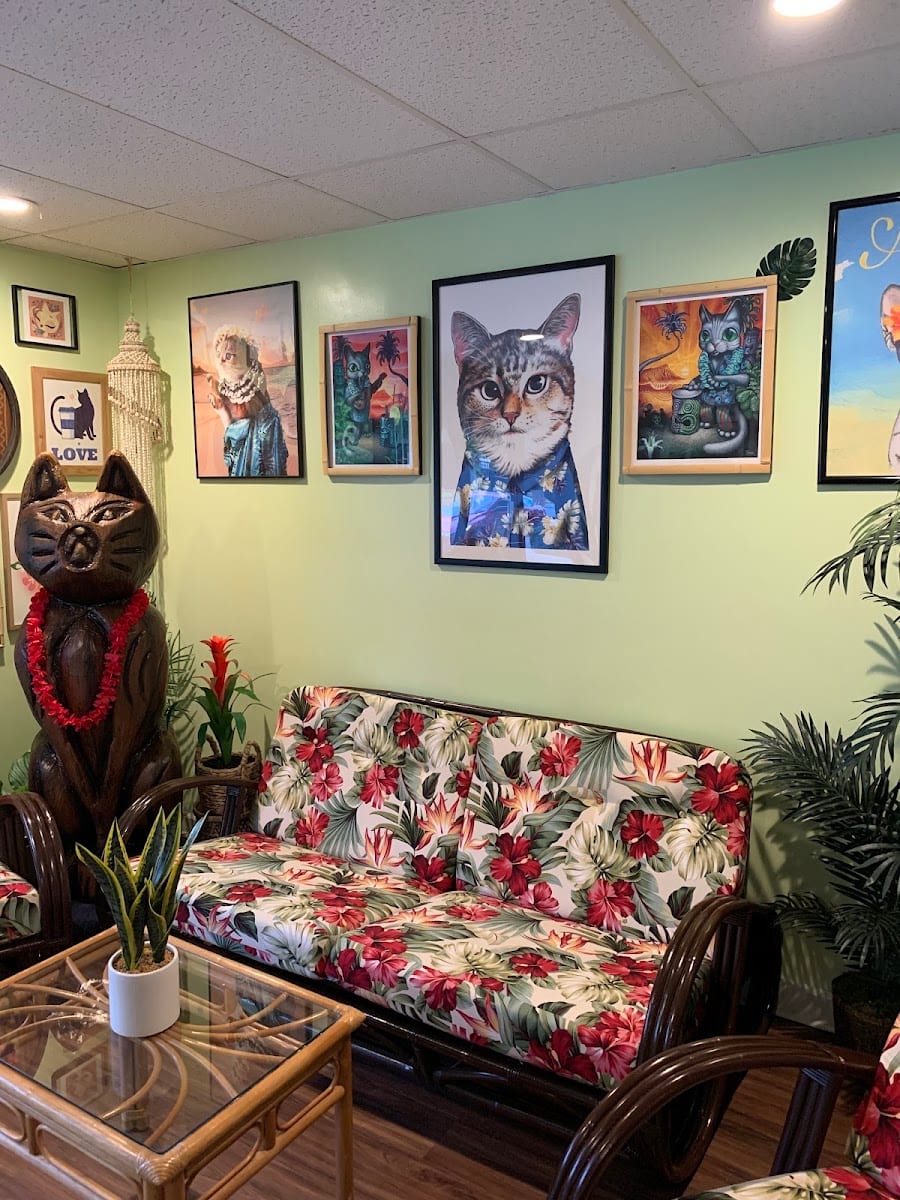 Aloha Kitty Cafe, photo 2