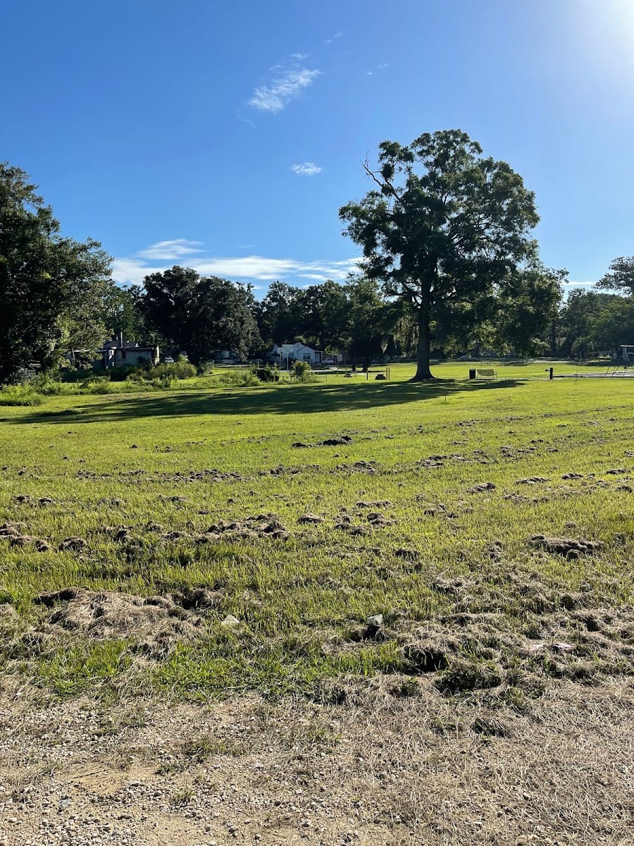 Fry Park, photo 2