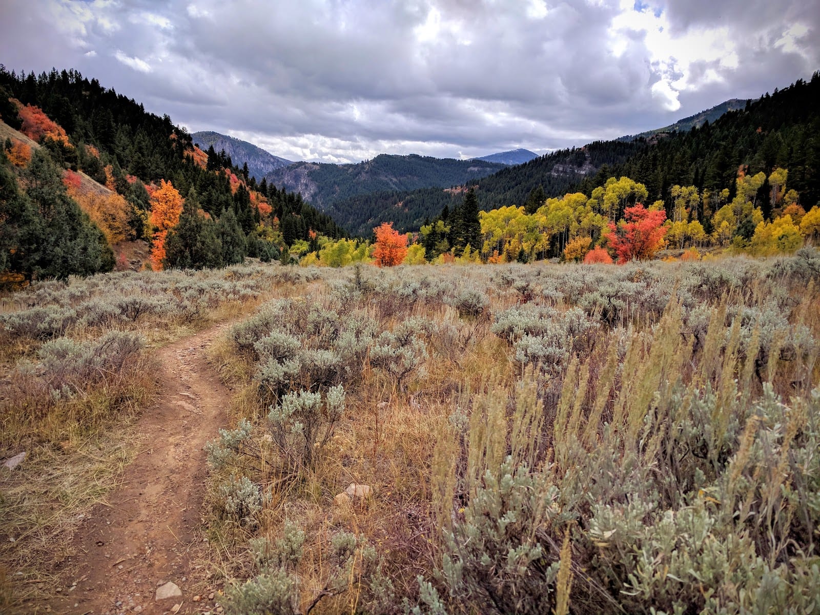 Jardine Juniper Trail Head