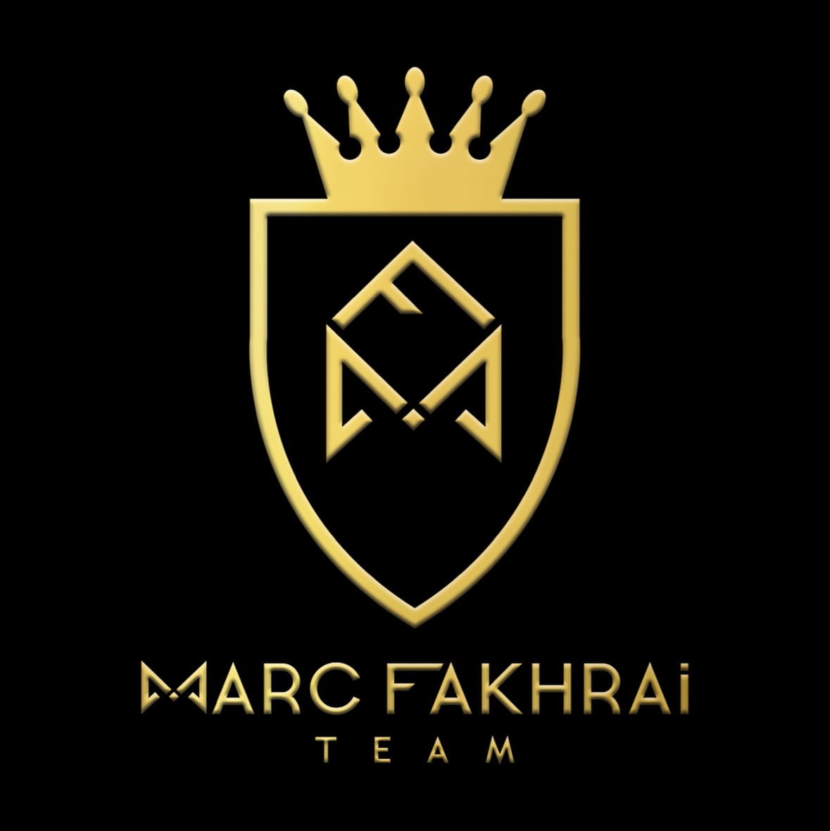 Marc Fakhrai Team, photo 4