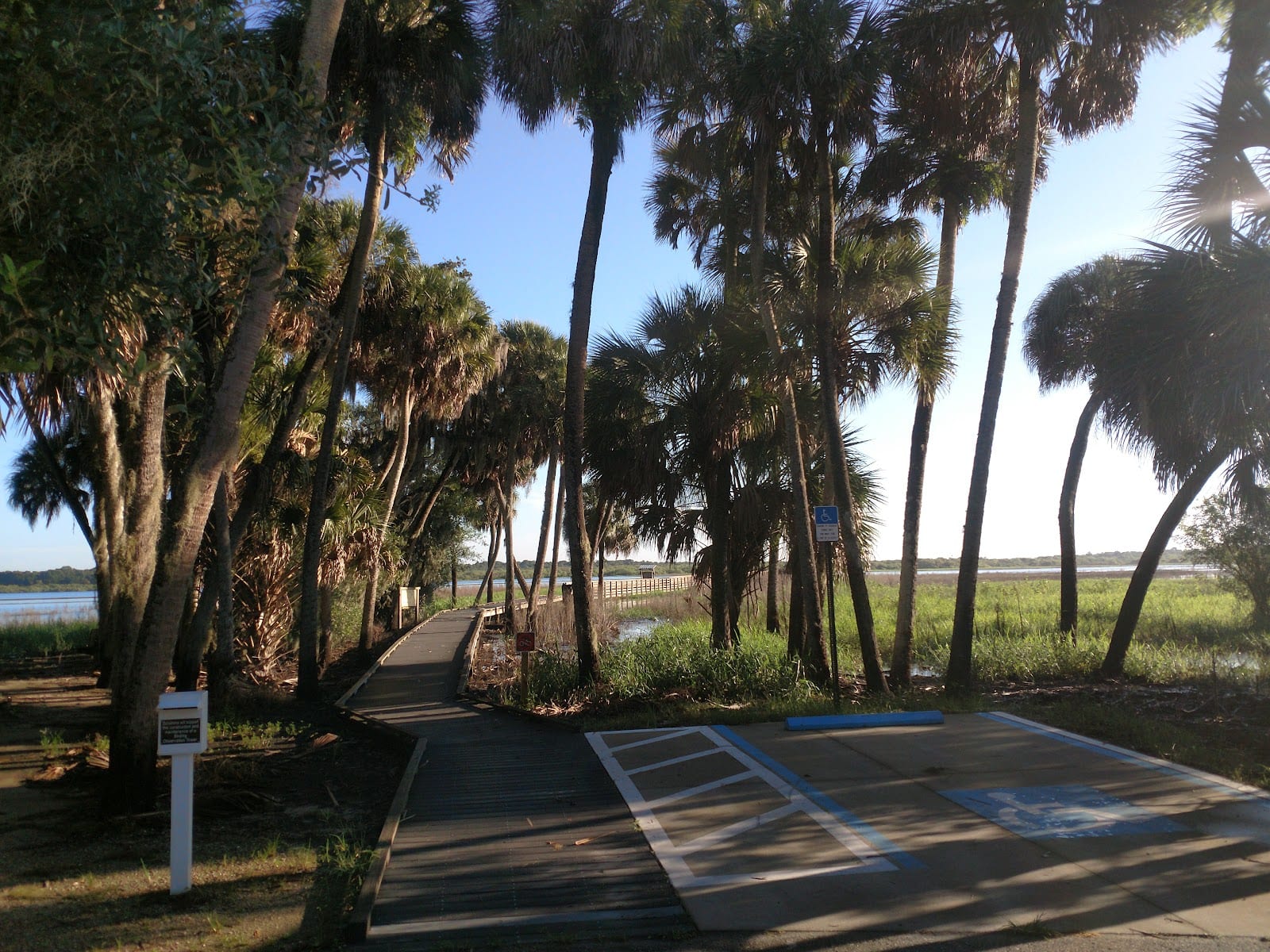 Myakka River State Park Birdwalk