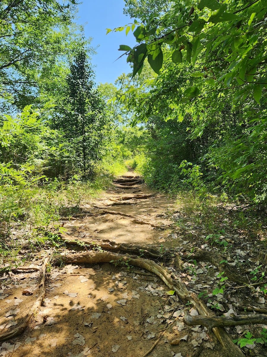 Elm Fork Trail