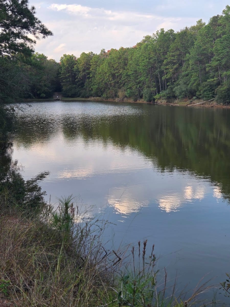 Cypress Creek Park At Timberlane, photo 2