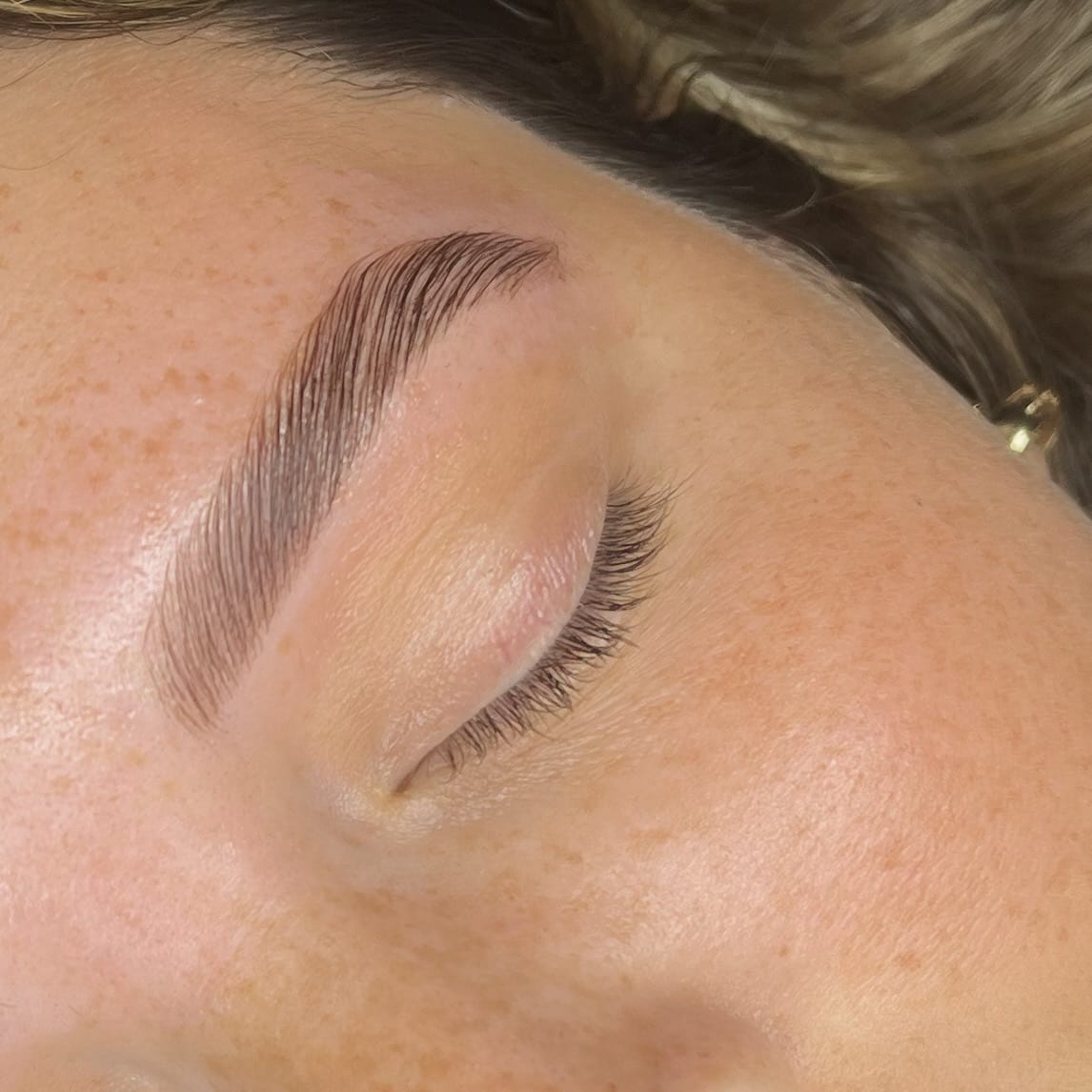 The Lash Edit Tampa