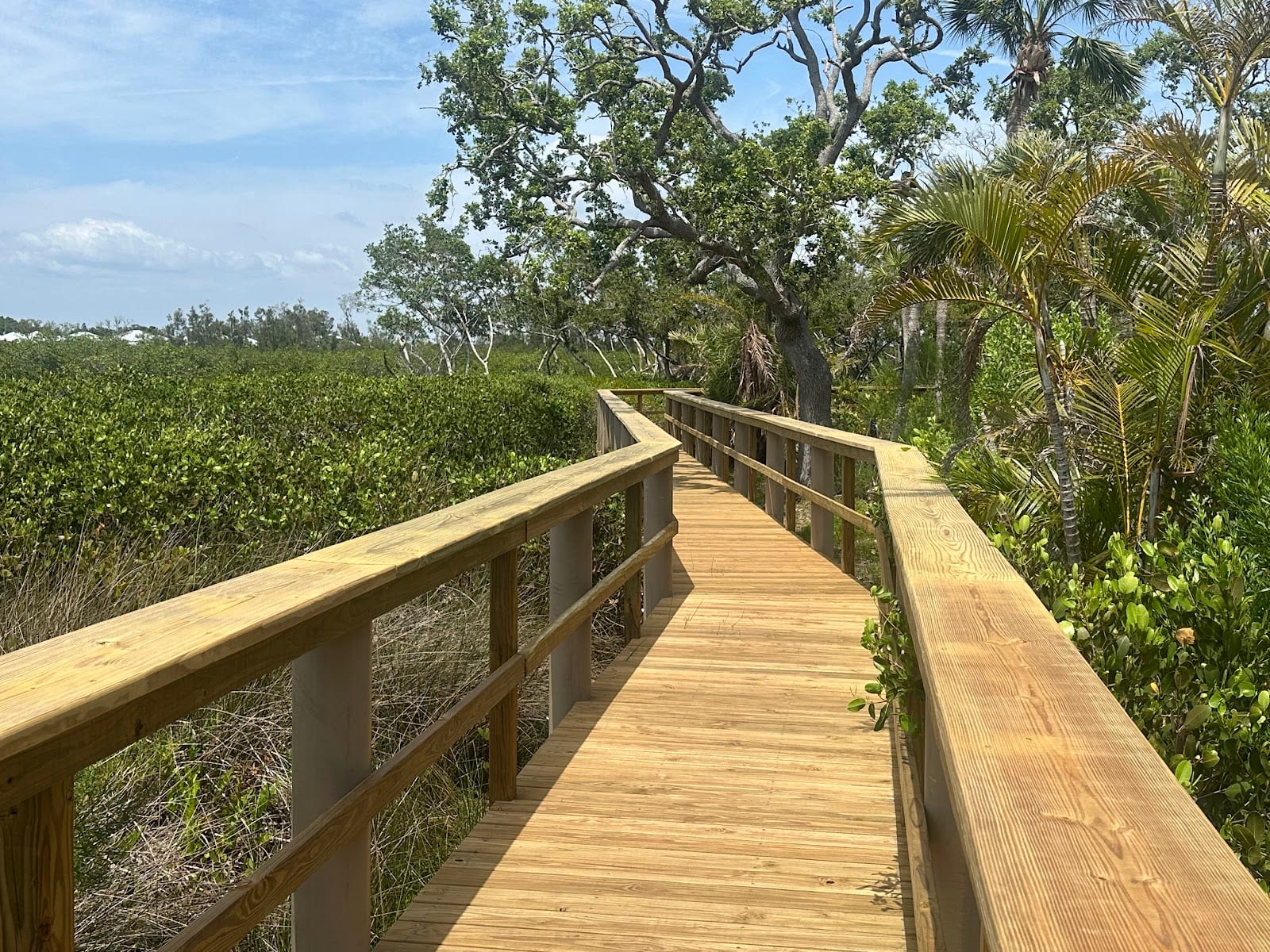 Bird Bay Village