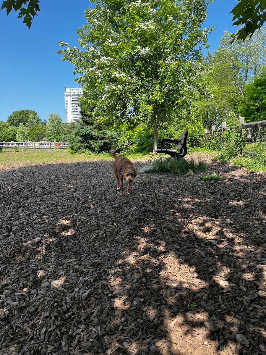 Stan Wadlow off-leash dog park
