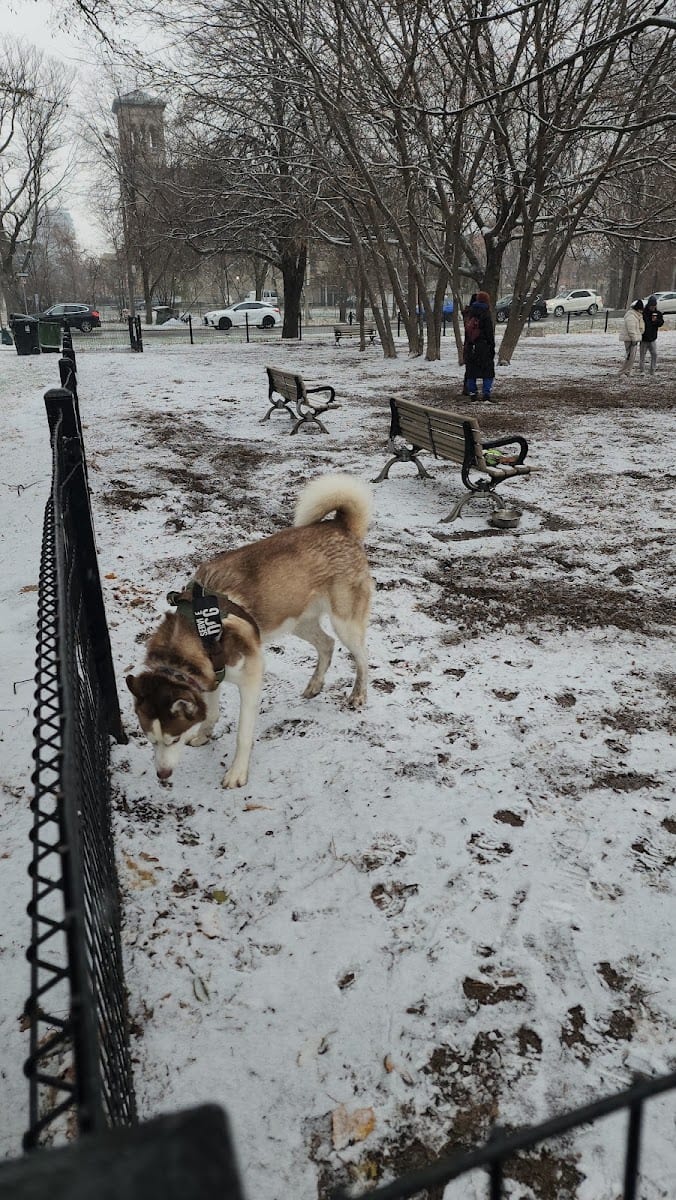 Orphan's Green Off Leash Dog Park