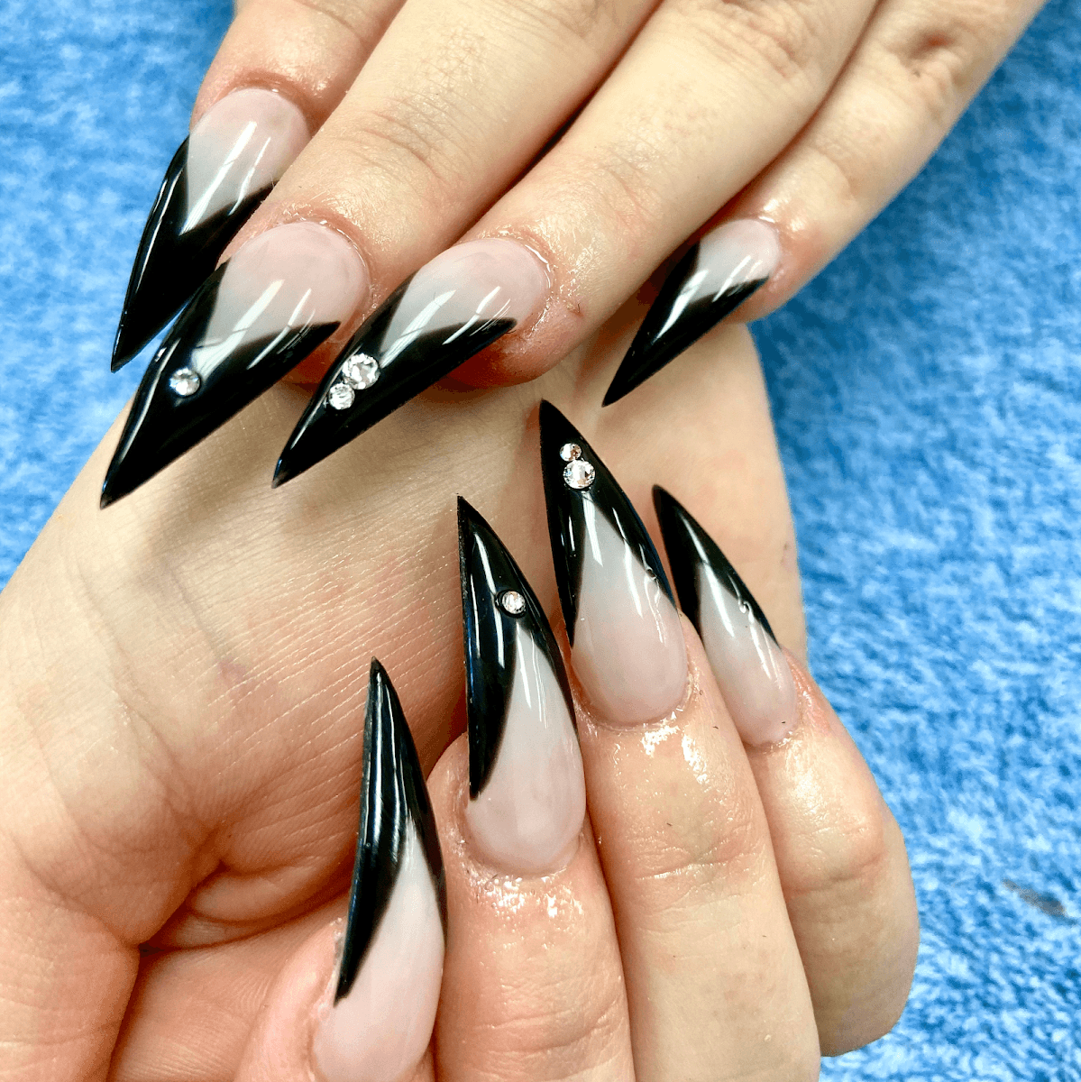 Orchid Nail Sp, photo 3